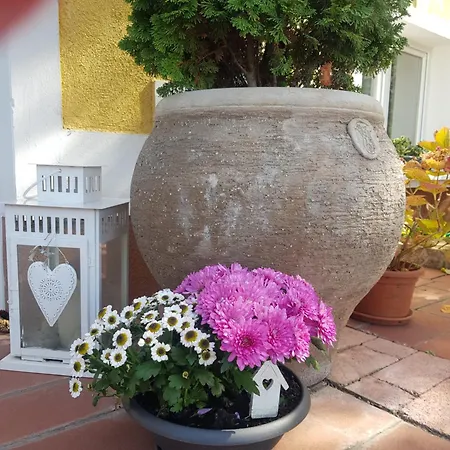 Eden Apartmanhaz Lejlighed