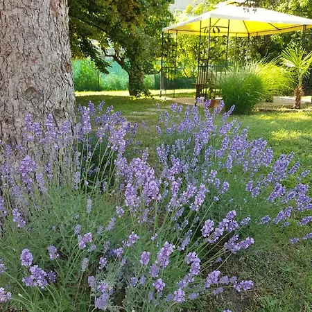Eden Apartmanhaz
